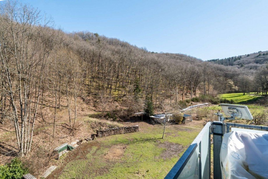 18369 Balkon Wohnung Schleiden