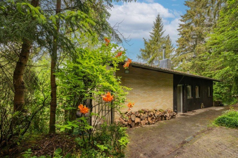 18238 Au�enansicht Bleckhausen Ferienhaus Freistehendes Ferienhaus in Alleinlage mitten im Wald in Bleckhausen - PROVISIONFREI